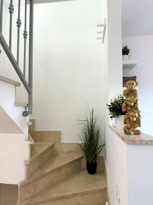 Casa Vacanza Elislor Apartments Fiumicino Bagian luar foto